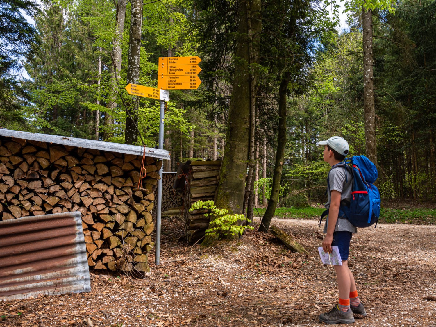 Santeberg Süd: Bald geht es nur noch hinunter. Foto: Franz Ulrich