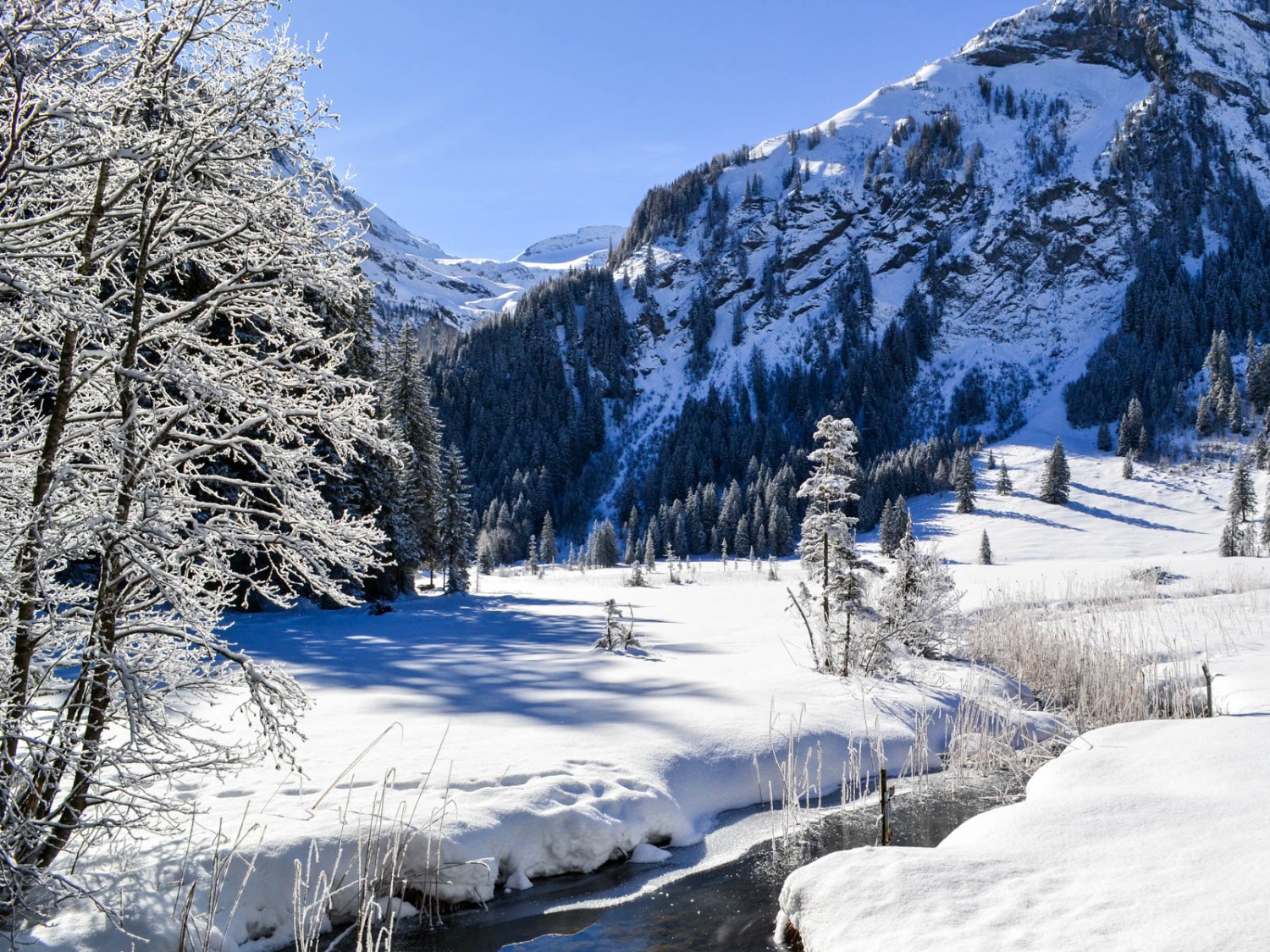 L’affluent du lac de Lauenen n’est pas gelé.