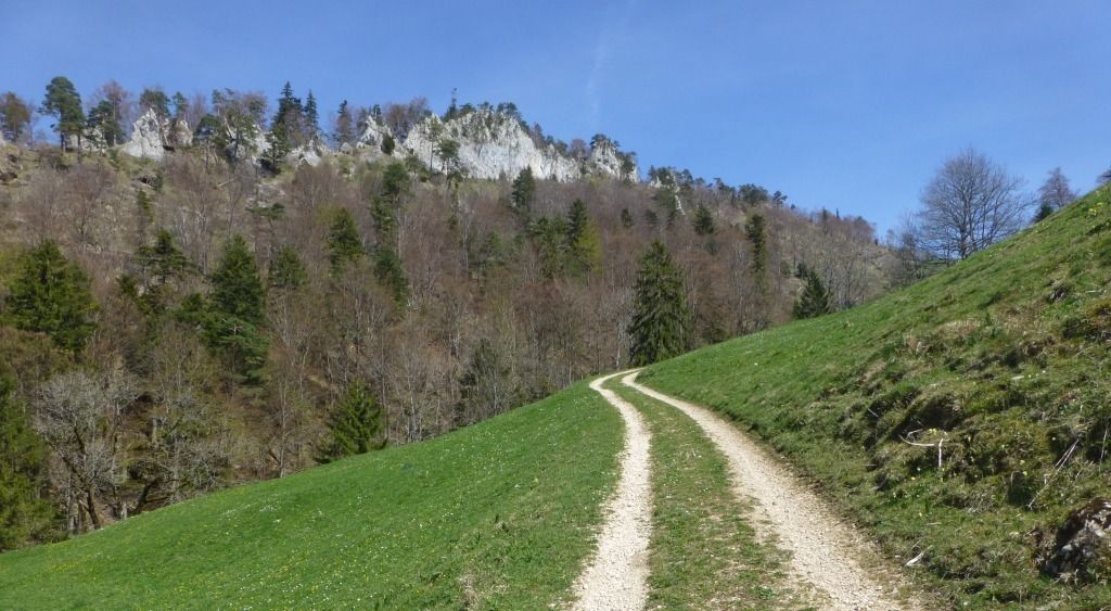 Wanderweg im Bogental