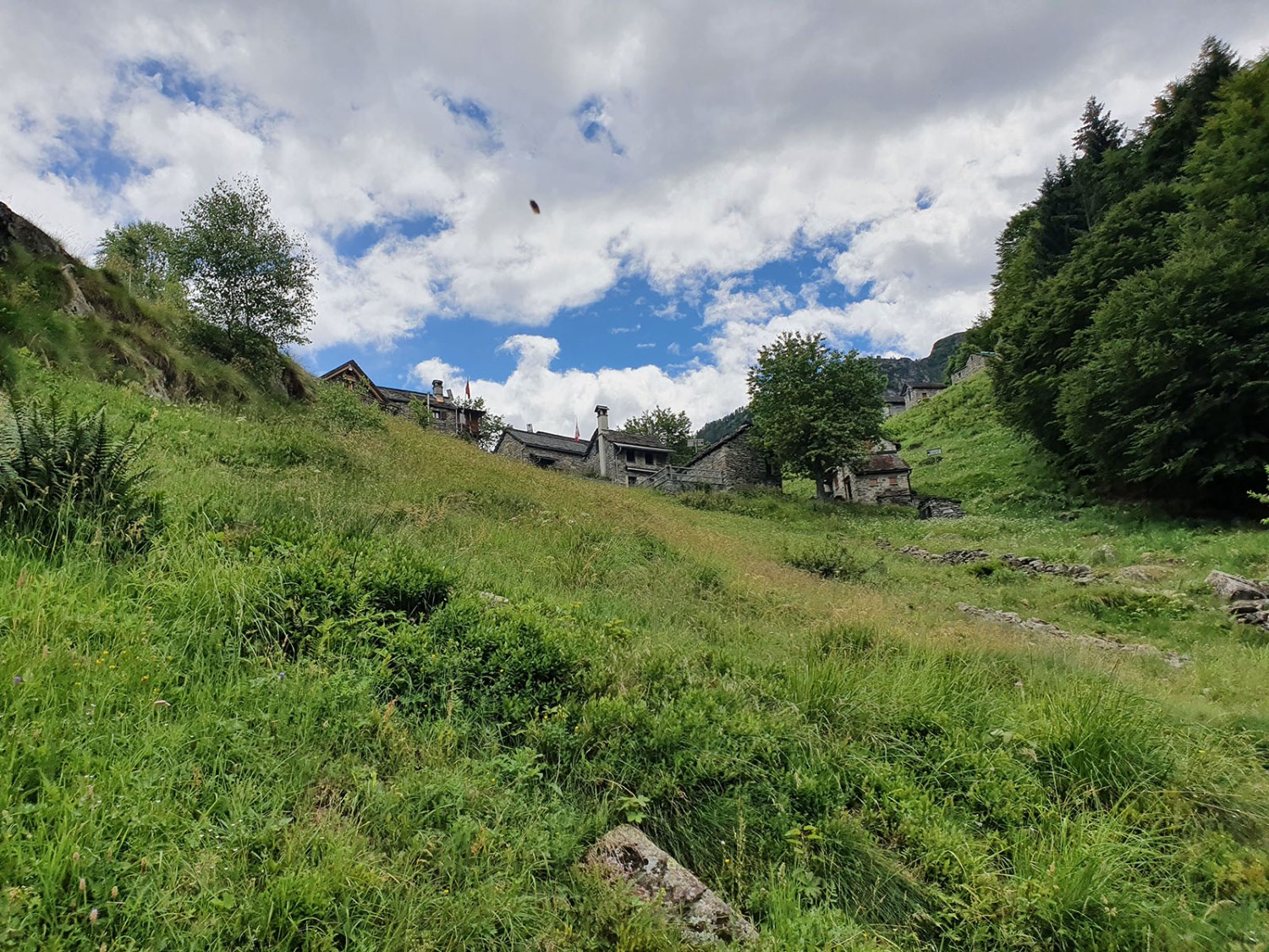 Entre Valle et Morella. Photo: Marina Bolzli