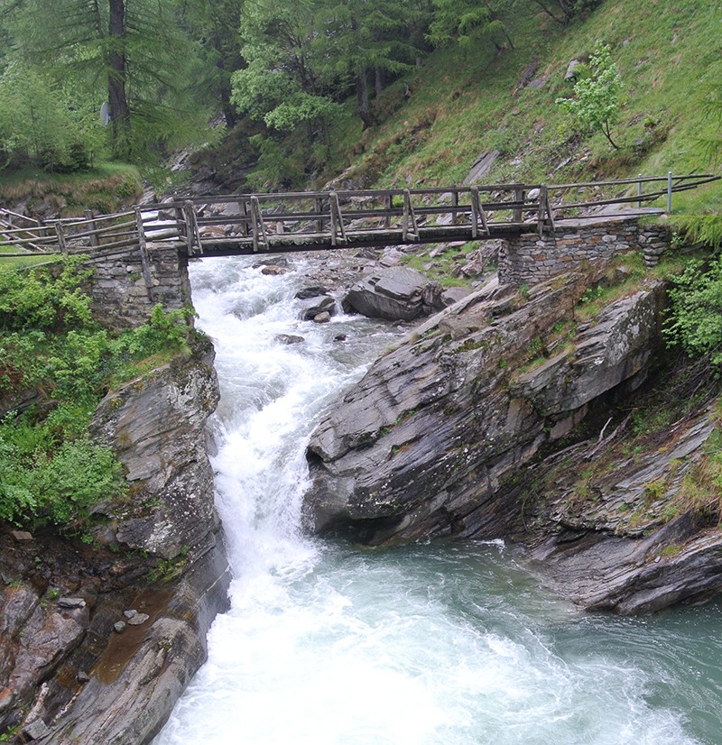 Die Holzbrücke über Wildbach ist genau nach des Wanderers Geschmack.