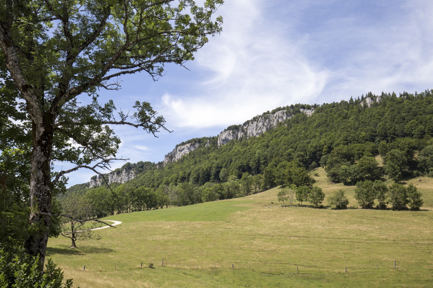 Regard en arrière sur la Chambenflüe depuis la pente douce du Hofbergli. Photo: Daniel Fleuti 