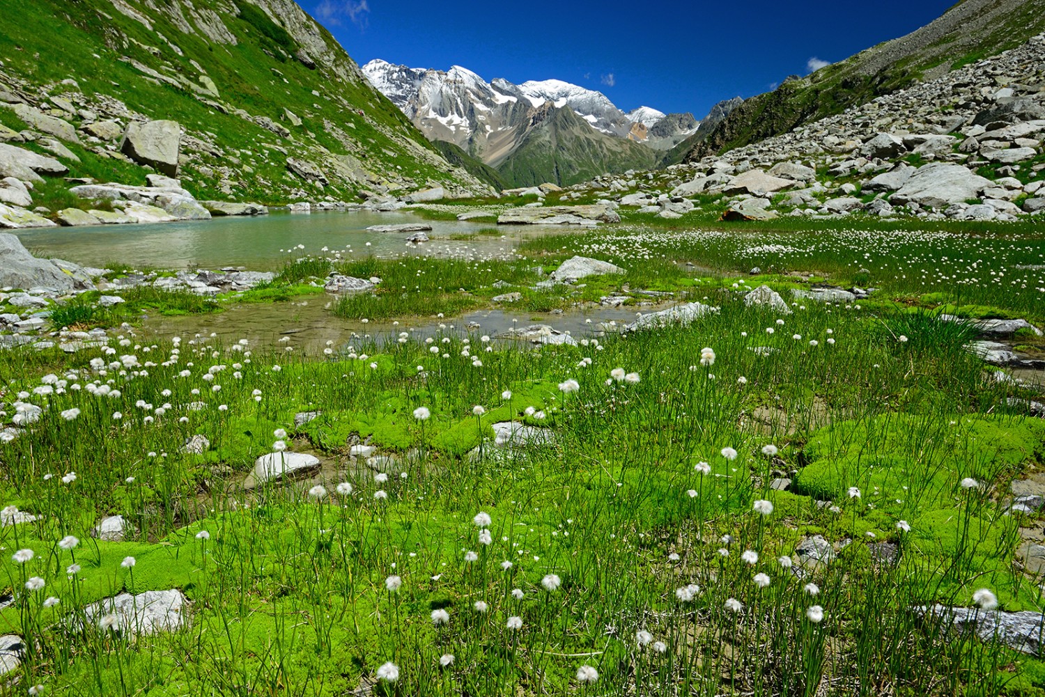 Im Aufstieg durch das Val Cavardiras zur gleichnamigen Hütte.