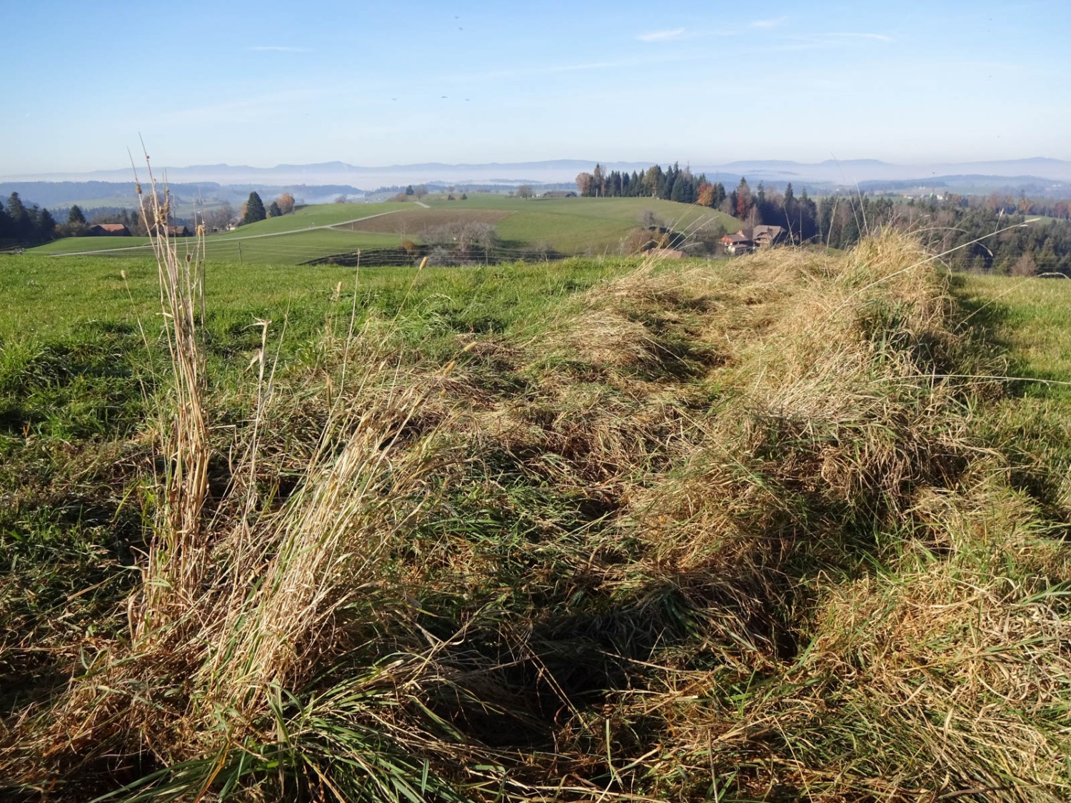 La vue s’étend sur la plaine aux environs d’Huttwil. Photo: Miroslaw Halaba