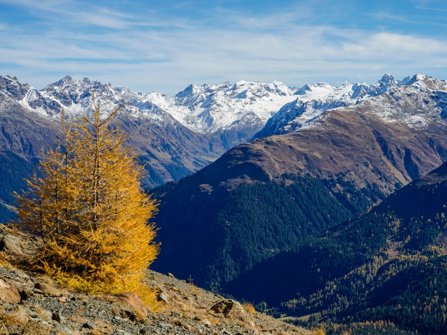 Vue sur le domaine de Silvretta depuis le chemin panoramique. Photo: Fredy Joss