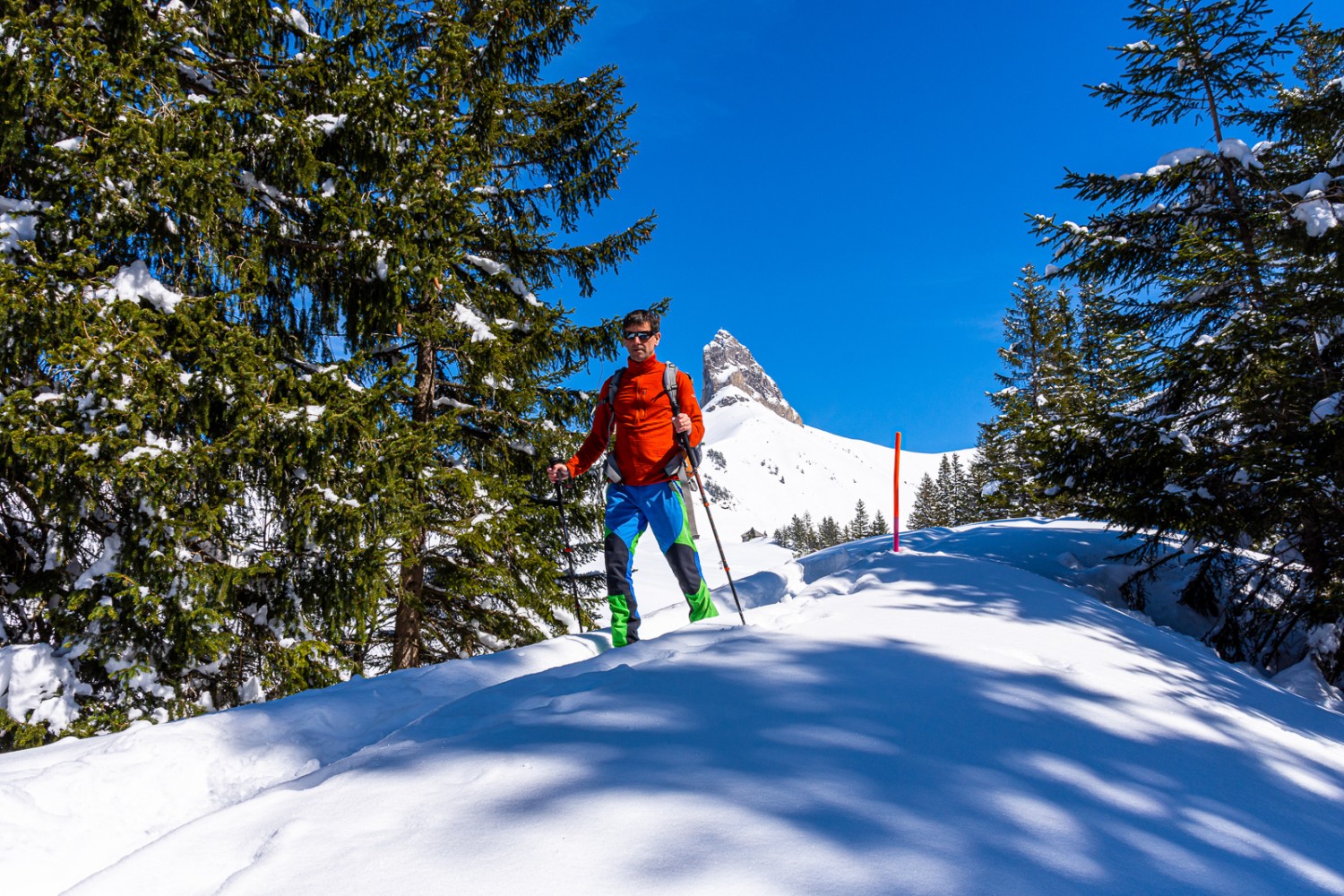 Die Route führt durch lichten Tannenwald. Bild: Franz Ulrich