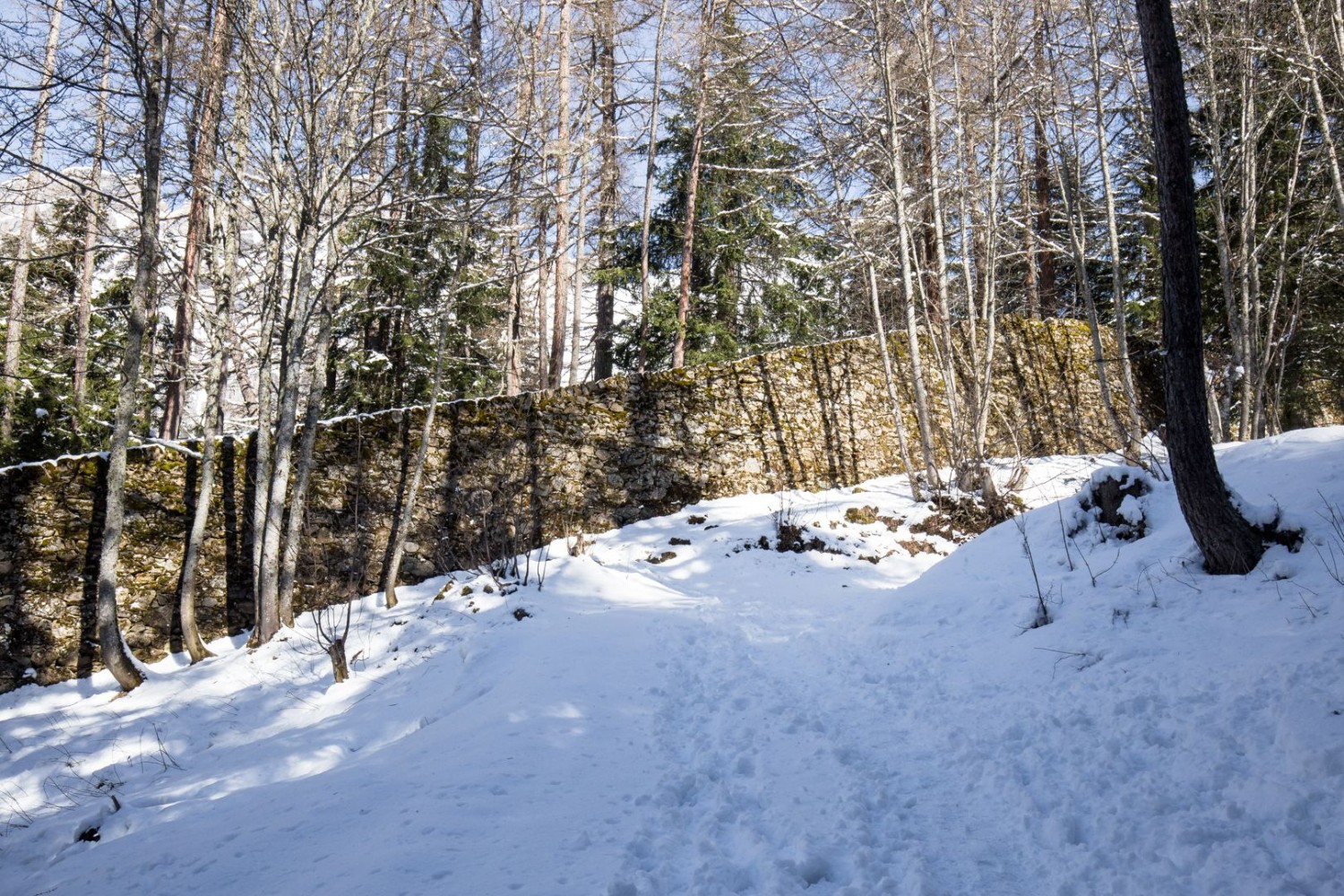 Mur paravalanche historique dans la forêt entre Loèche-les-Bains et Lompera.