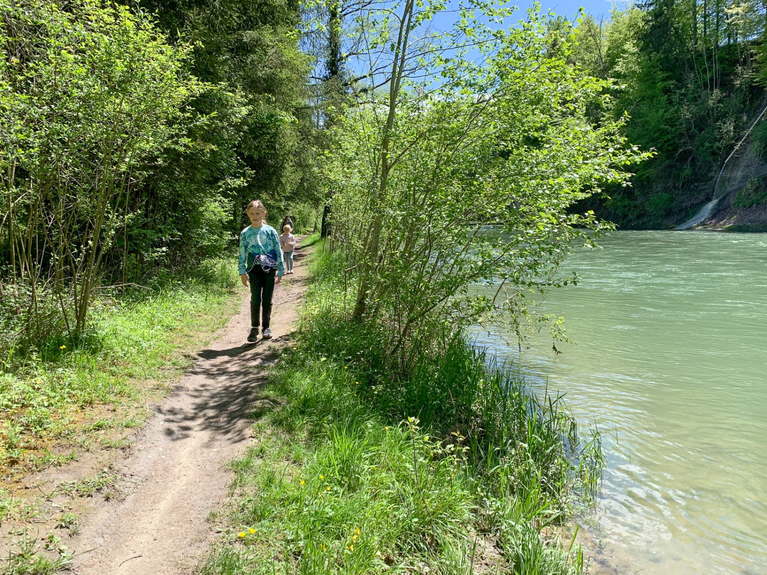 Peu avant l’embouchure de la Gérine, un agréable sentier forestier longe la Sarine. Photo: Monika Leuenberger