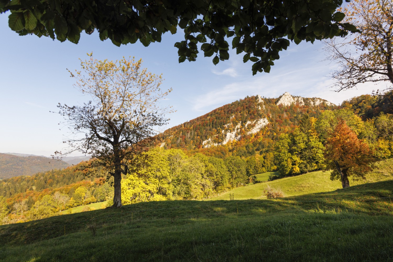 Blick nach Osten auf Les Roches, zwischen Césai und St-Brais. Bild: Severin Nowacki