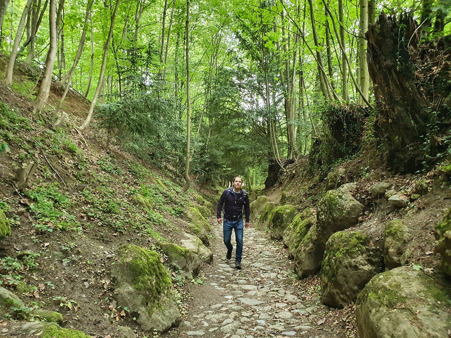 Die Hohle Gasse als Schlusshöhepunkt der Wanderung. Bild: Marina Bolzli