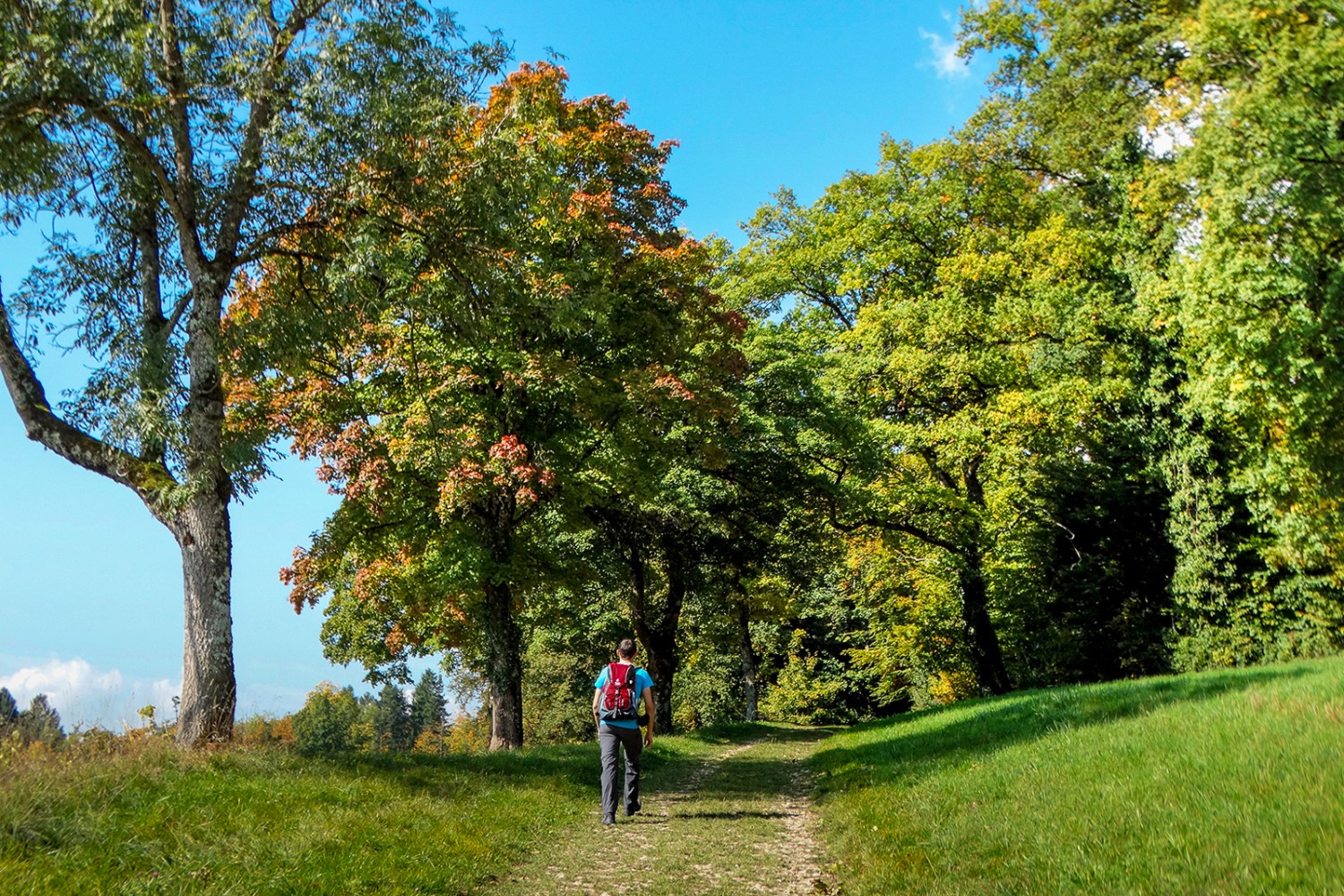 Vor dem Château de Domont führt der Weg ein erstes mal in den Wald. Bild: Daniela Rommel