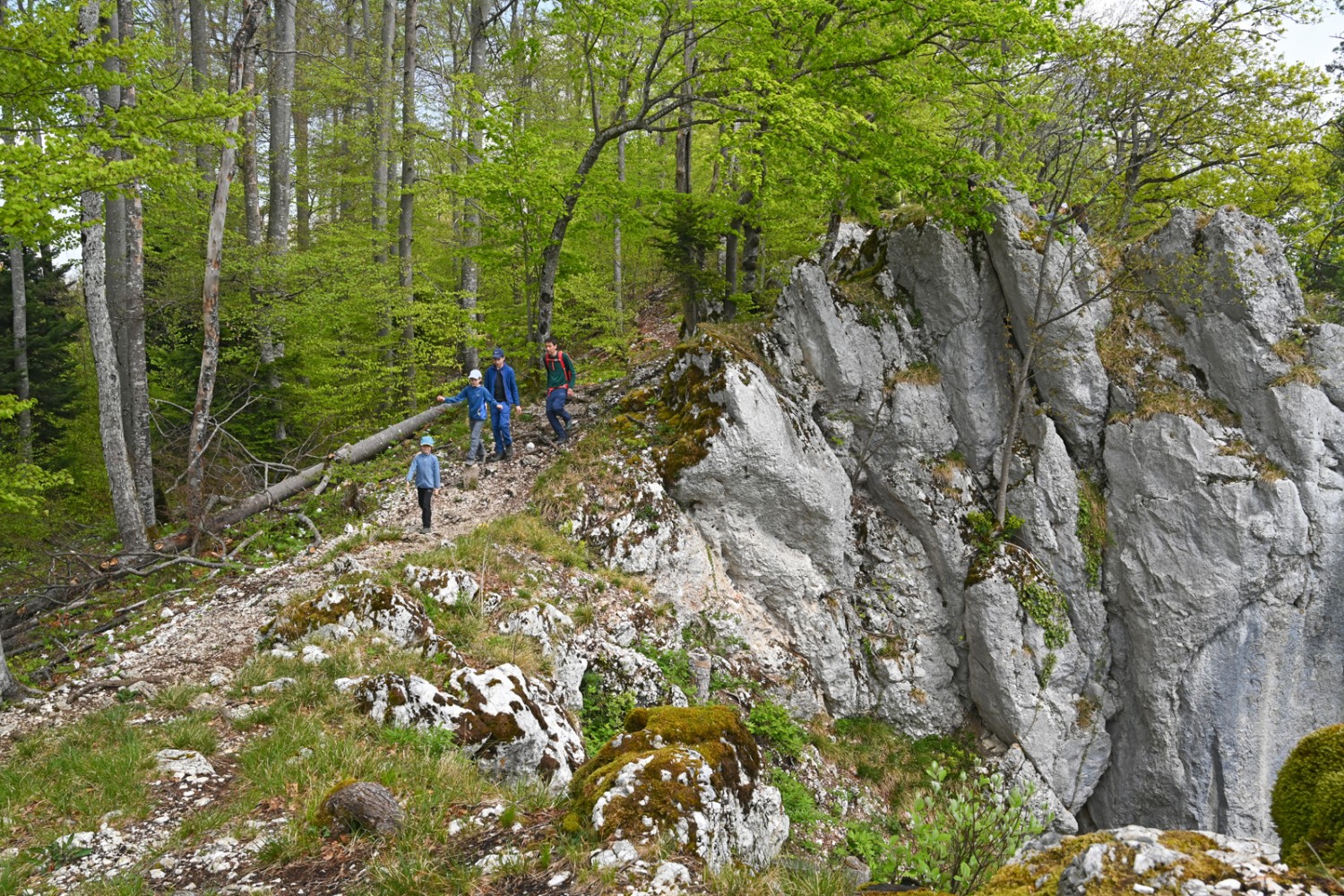 Schroffe Felsen, tiefer Abgrund: zwischen Remelspitz und Roti Flue.
Bild: natur-welten.ch