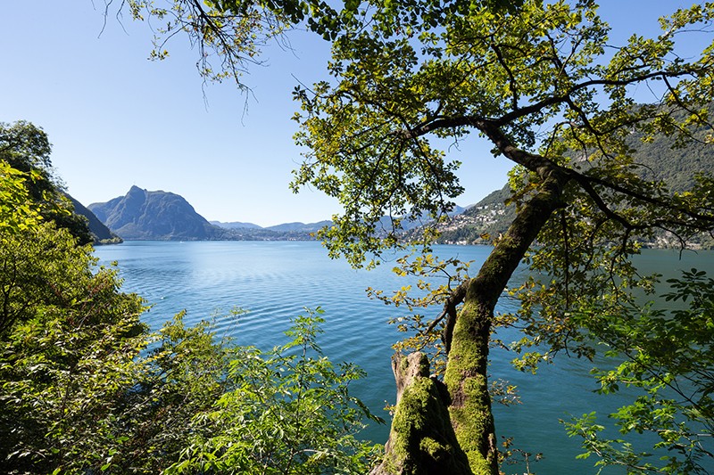 Idylle am Luganersee.
Bilder: Daniel Fleuti