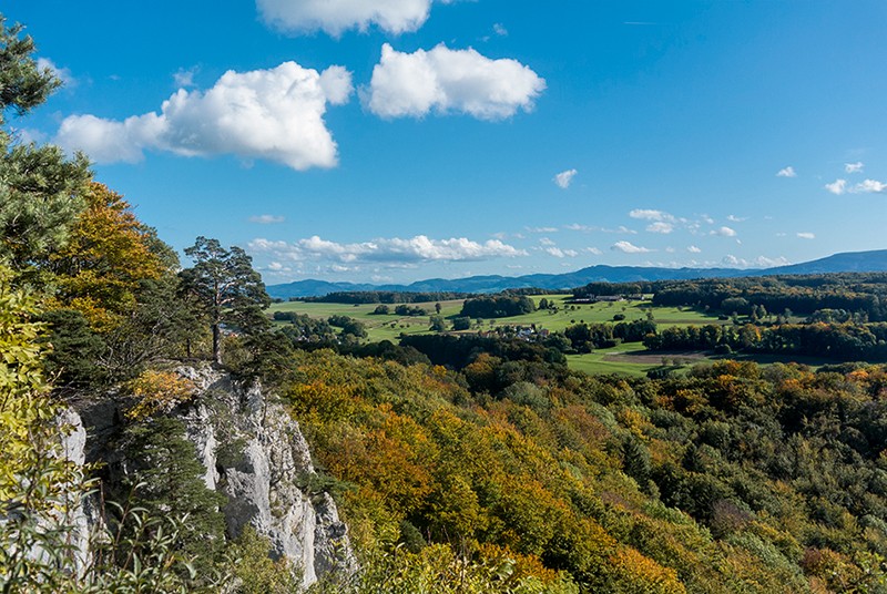 Die Wanderung verspricht gleich mehrere Aussichtspunkte mit tollen Ausblicken ins Baselbiet. Bild: Thomas Gloor