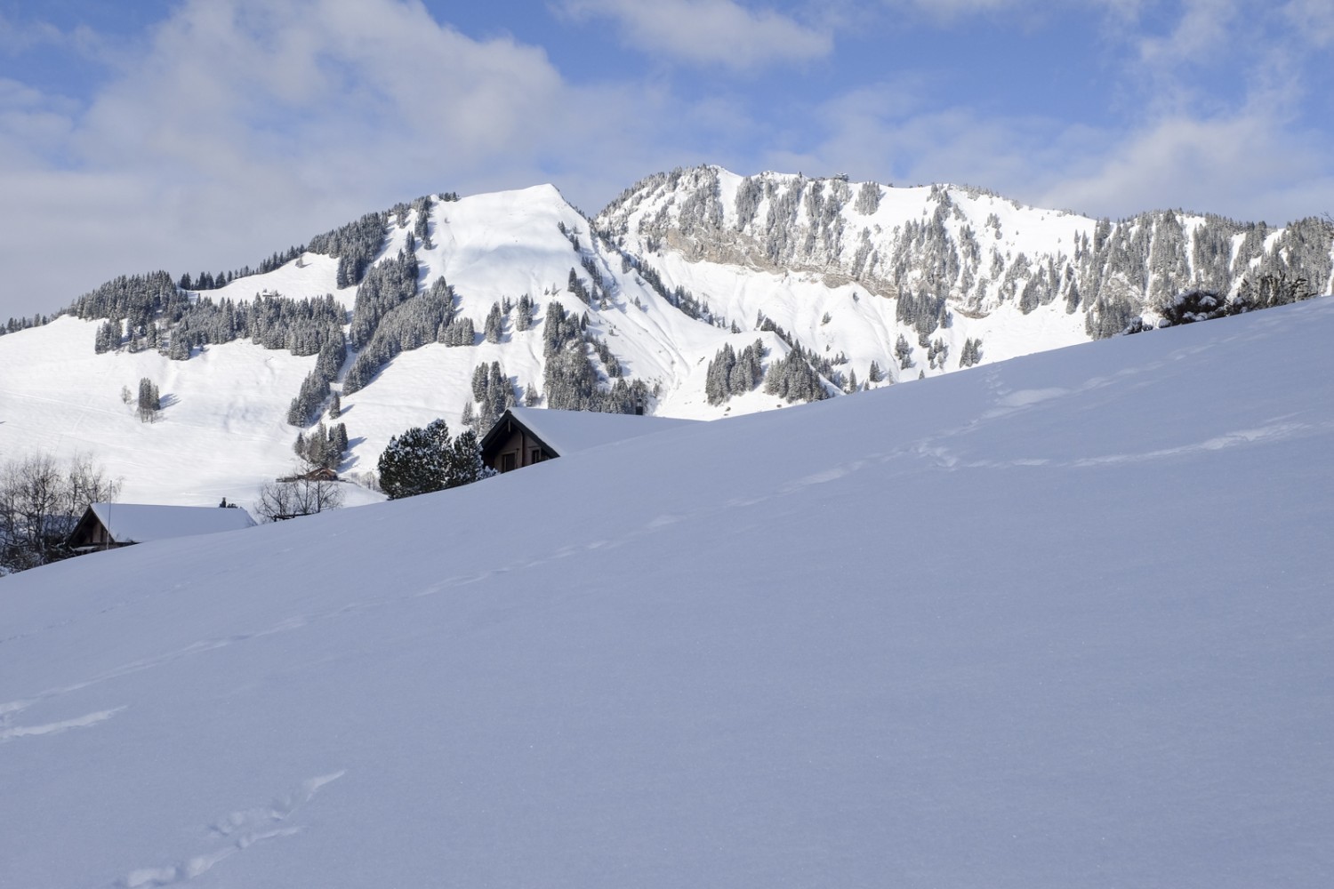 Von der Dürrenbodenalp blickt man auf die steilen Südhänge des Stanserhorns und des Chli Horns links. Bild: Elsbeth Flüeler