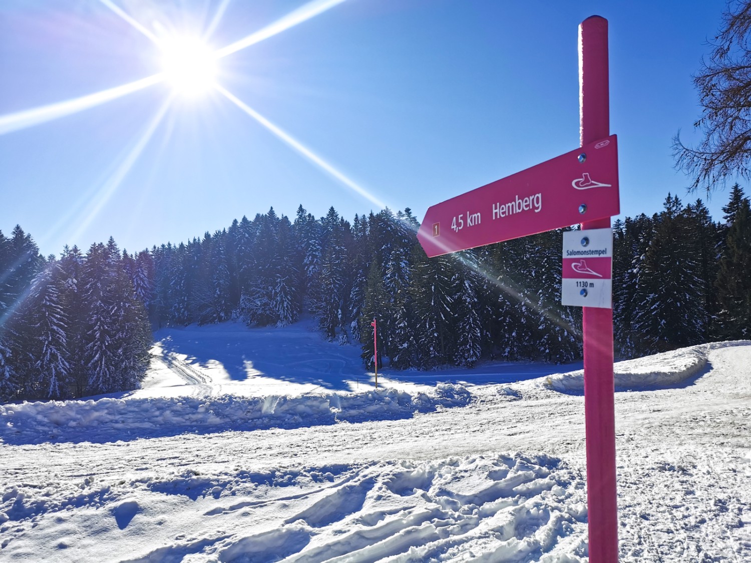 Un balisage parfait facilite l’orientation. Photo: Andreas Staeger