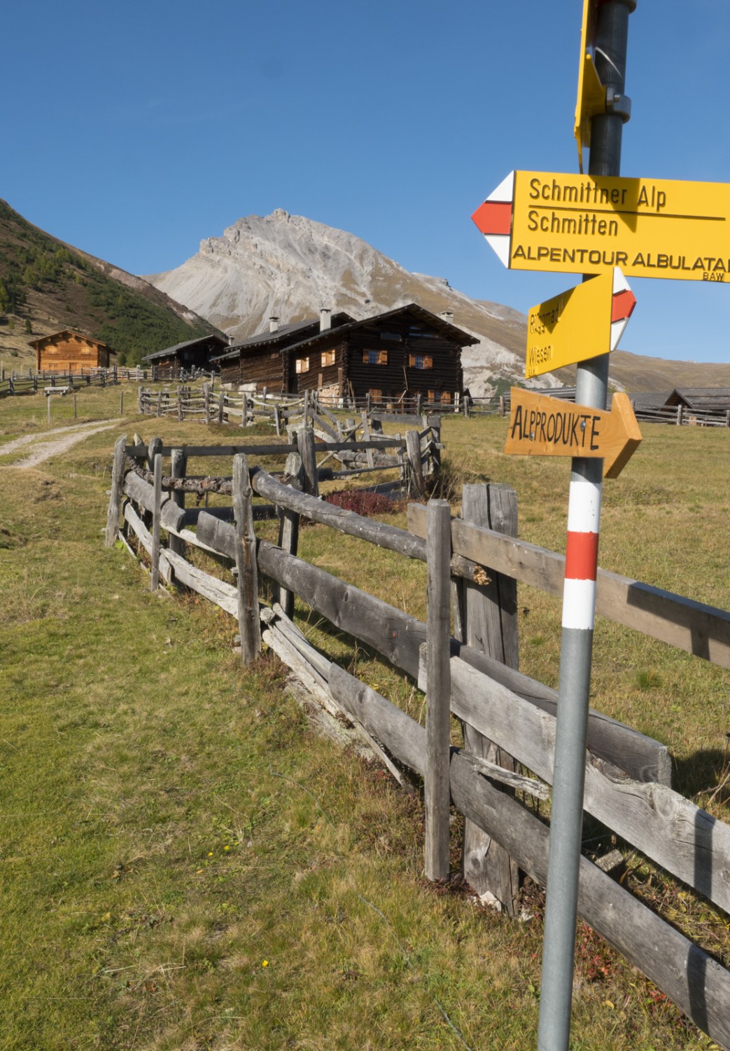 Auf der Wiesner Alp, hinten das Valbellahorn.