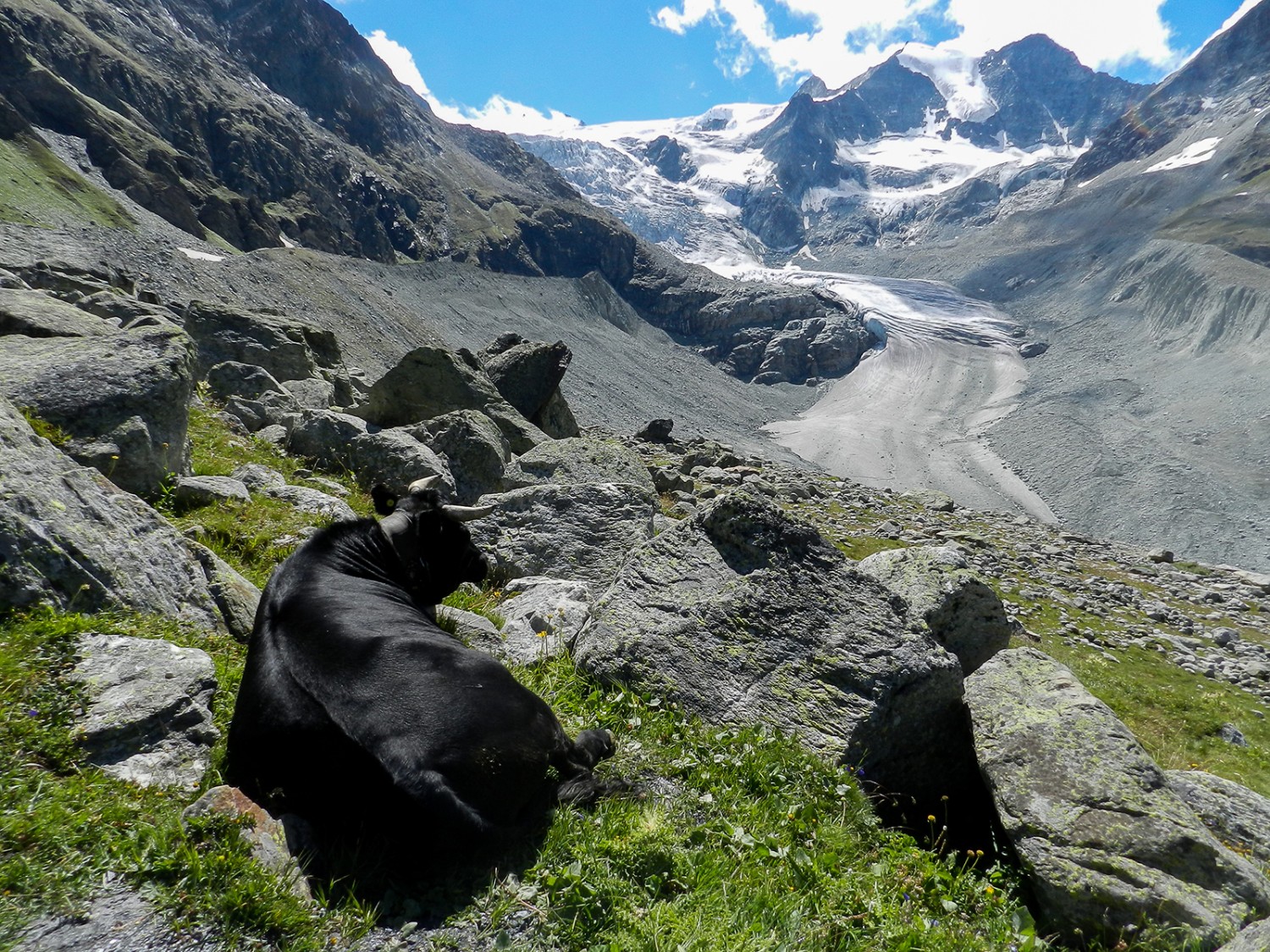 Ici, pas de trains à regarder passer, mais une vue imprenable sur le glacier de Moiry.