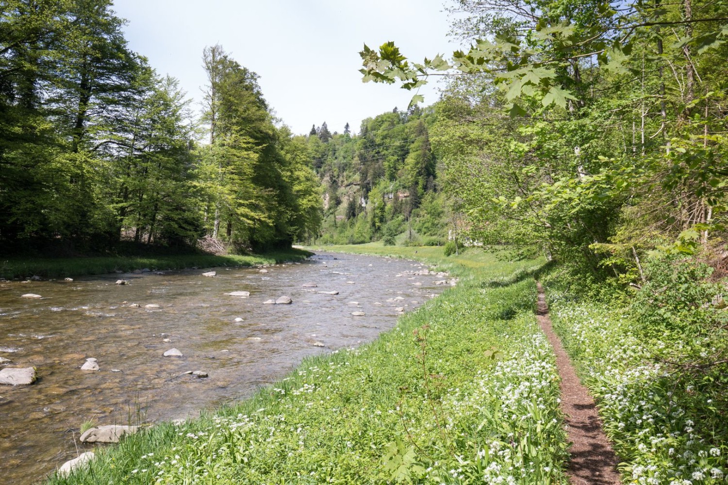 Zwischen Sihlbrugg Station und Sihlwald verläuft der Weg oft dicht am Wasser.