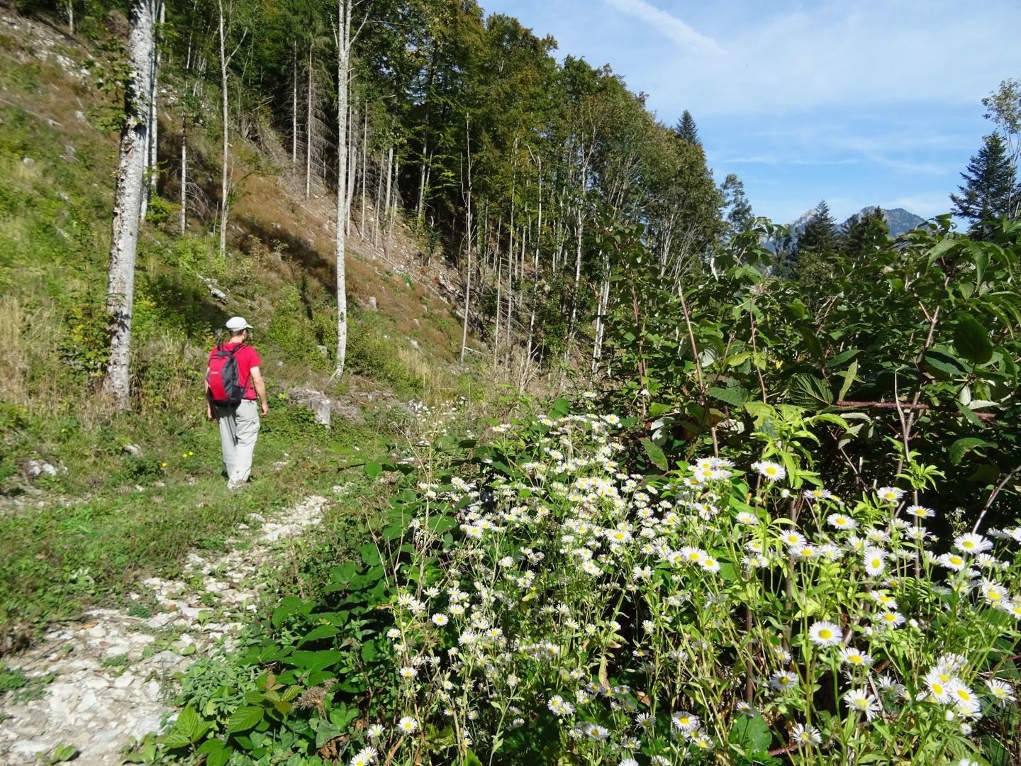 Auf dem weiteren Abstieg nach Neirivue.