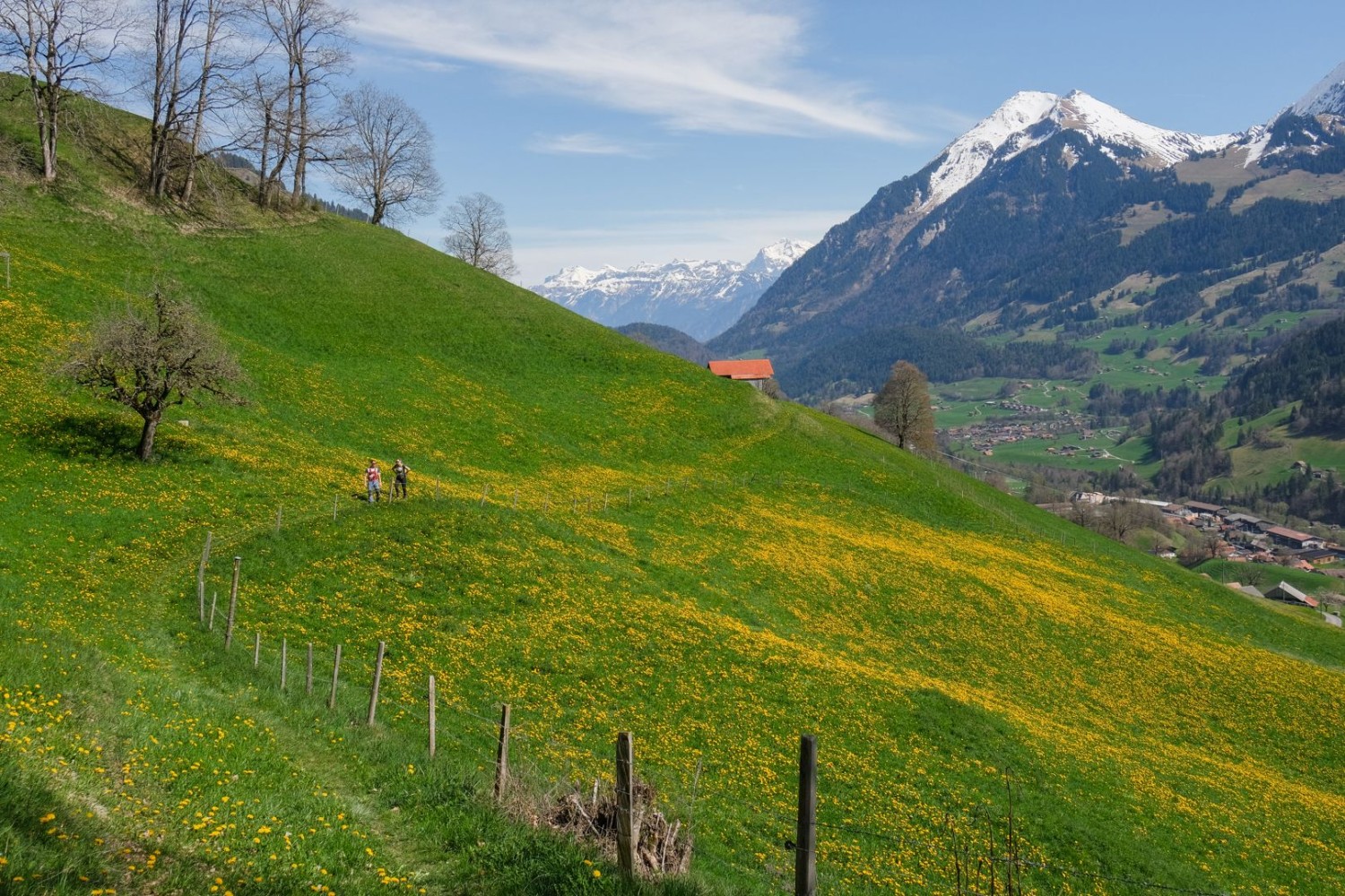 Der noch schneebedeckte Niesen kommt auf dieser Wanderung stetig näher.