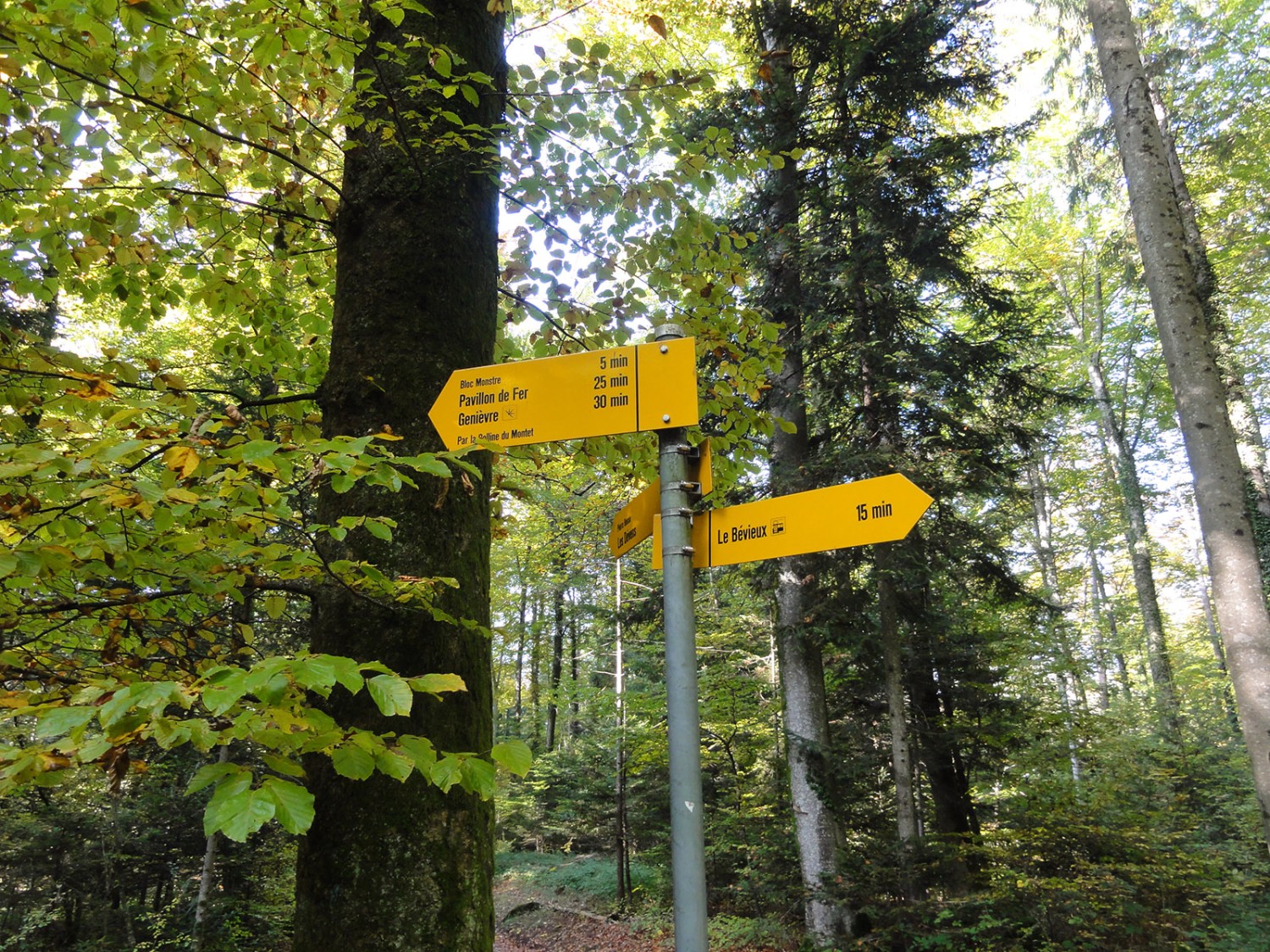 Sur le sentier du Sel. Photo: Elsbeth Flüeler