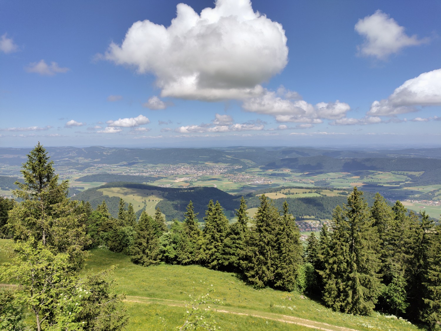 La veduta su Delémont verso la Francia che si gode dalla torre panoramica sul Mont Raimeux. Foto: Michael Dubach