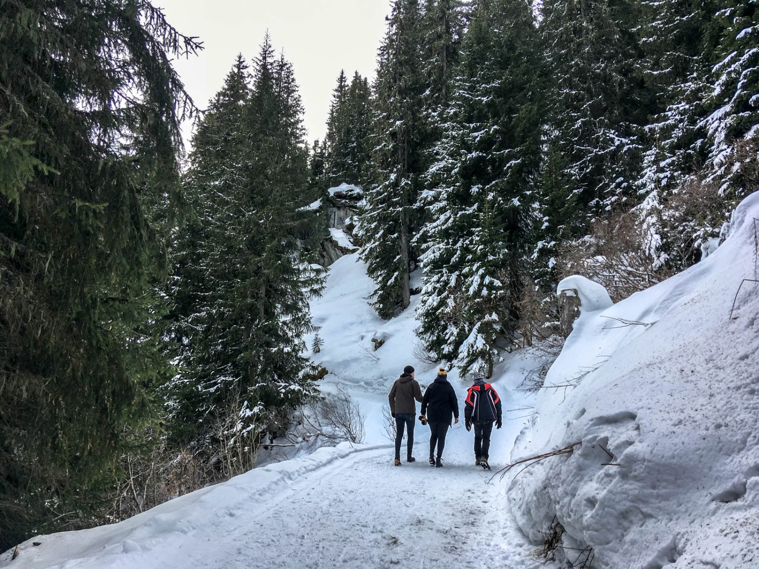 Der Weg führt durch verschneite Wälder. Bild: Claudia Peter