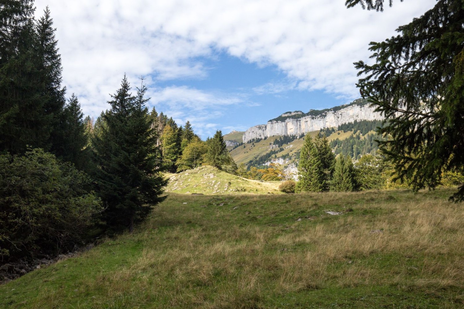 Unterhalb von Klein-Hütten mit Blick zum Schäfler (links).