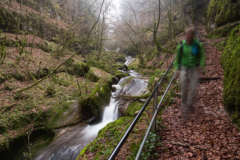 Dans les gorges de Douanne, le sentier passe par des marches et des passerelles le long de l’eau. Des parois et des blocs de pierre couverts de mousse renforcent l’ambiance mystique. Photo: Markus Ruff