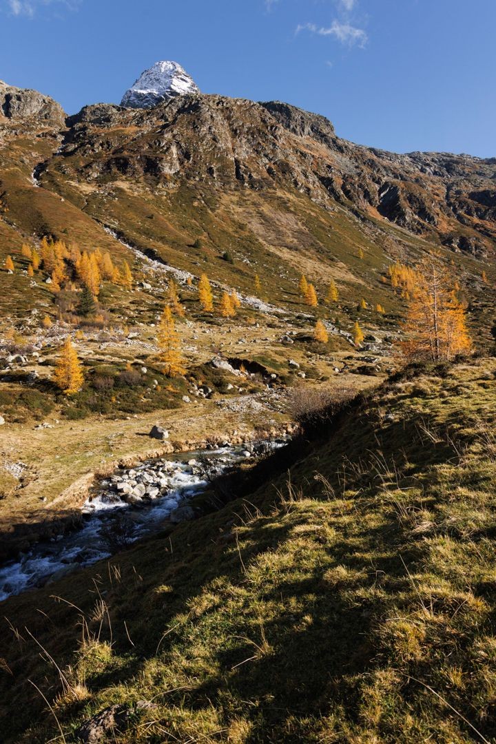 Coup d’œil en arrière sur le Schwarzhorn enneigé, lors de la descente depuis l’auberge du col du Splügen en direction de Splügen.