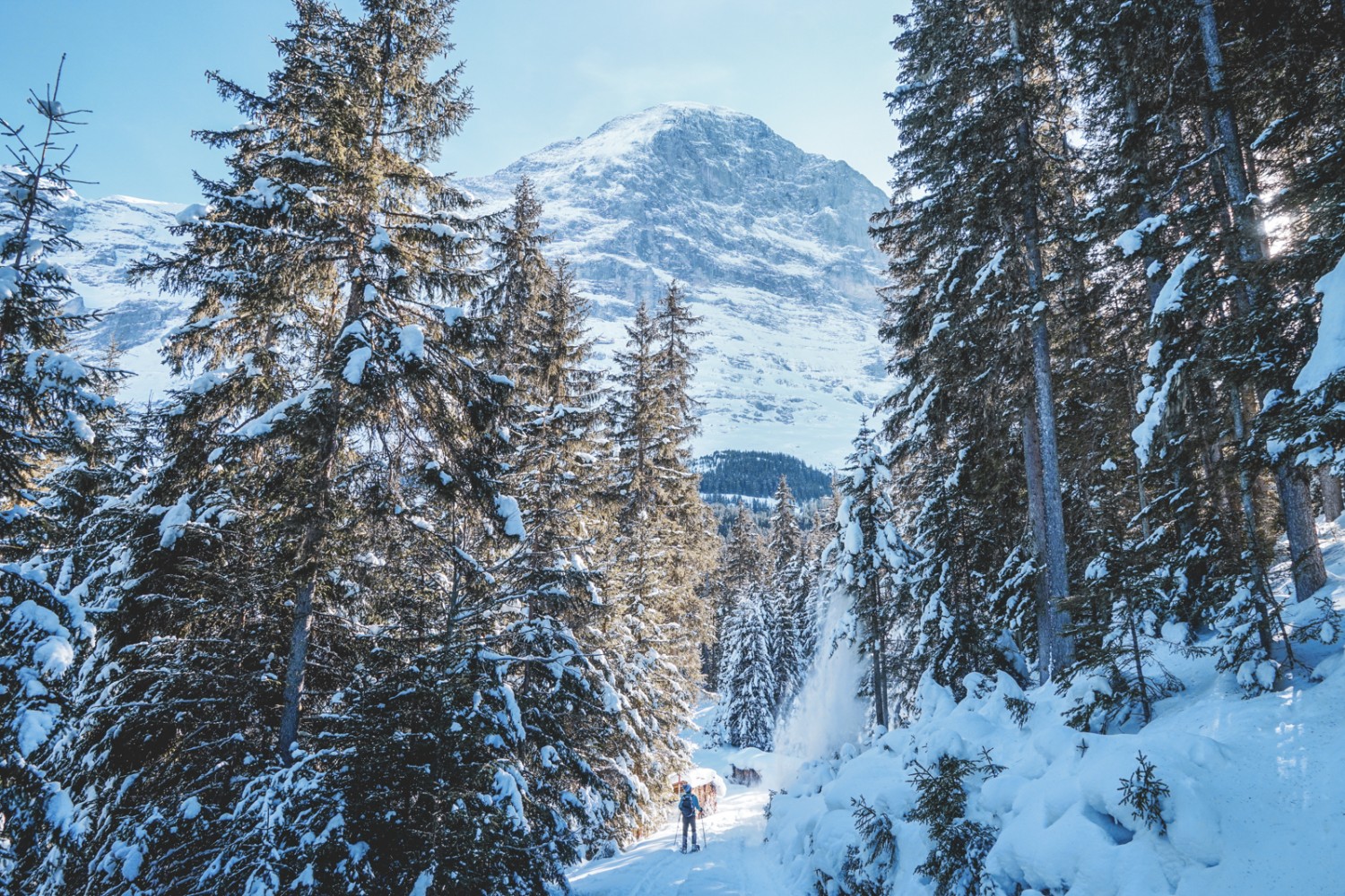 Durch eine Waldschneise zeigt sich erneut der Eiger. Bild: Fredy Joss