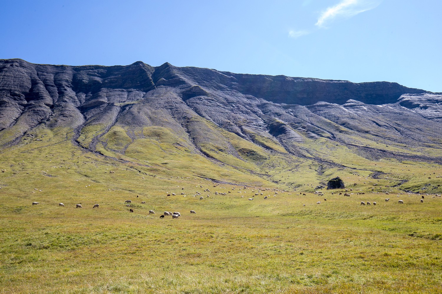 Nach der Alp Erigsmatt folgt die Charetalp, eine weitere Alp der Oberallmeindkorporation.