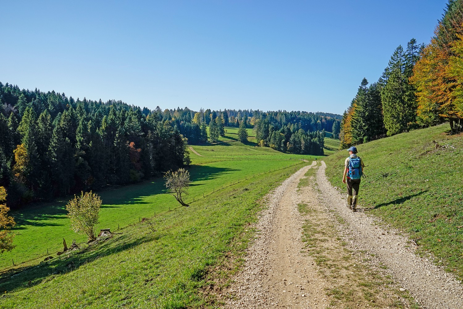 Kurz nach Petit Montcenez durchquert der Wanderweg ein namenloses Tal. Bild: Fredy Joss