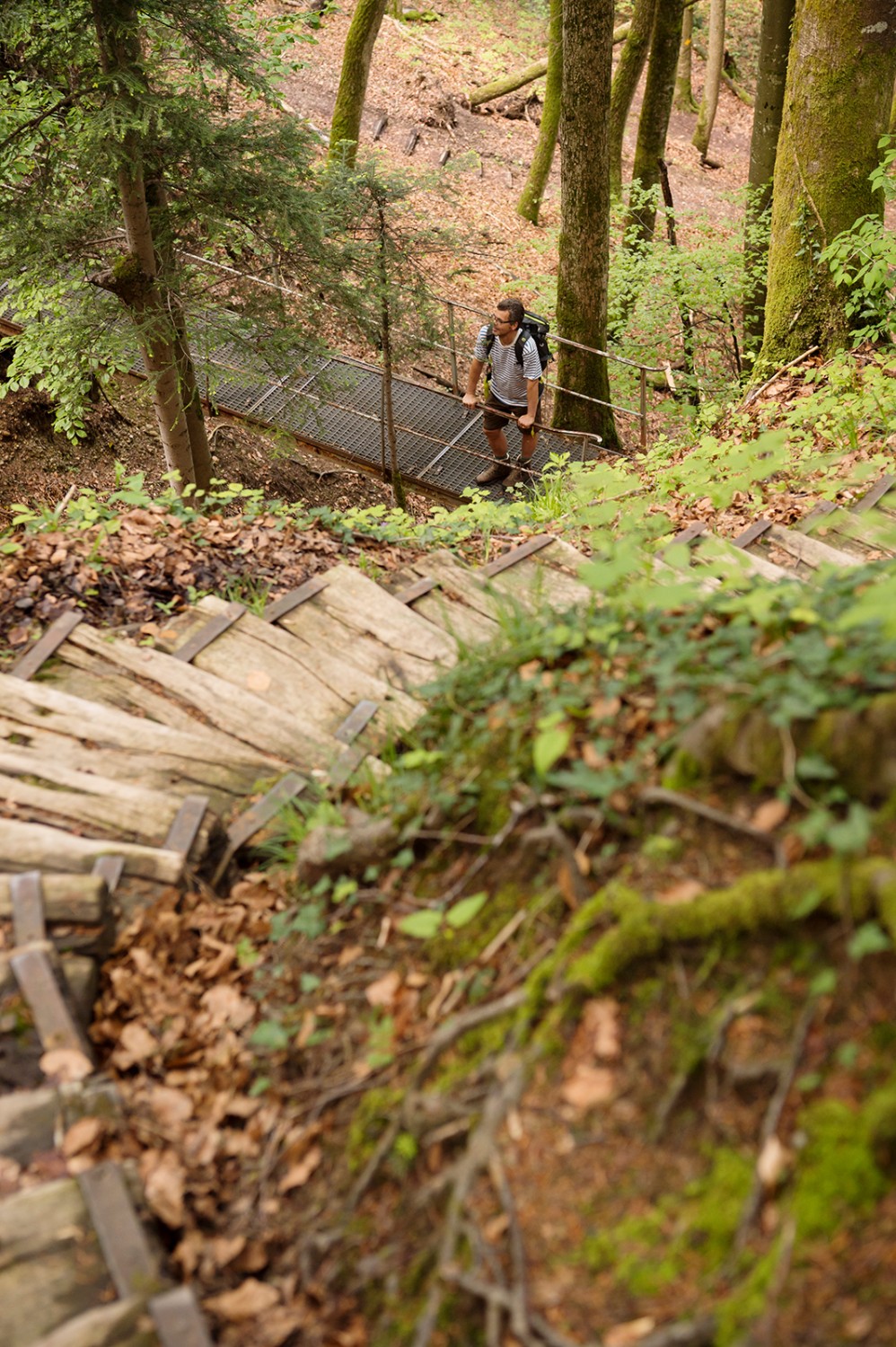 La descente depuis la Hohenegg passe par de nombreux ponts, marches et passerelles.