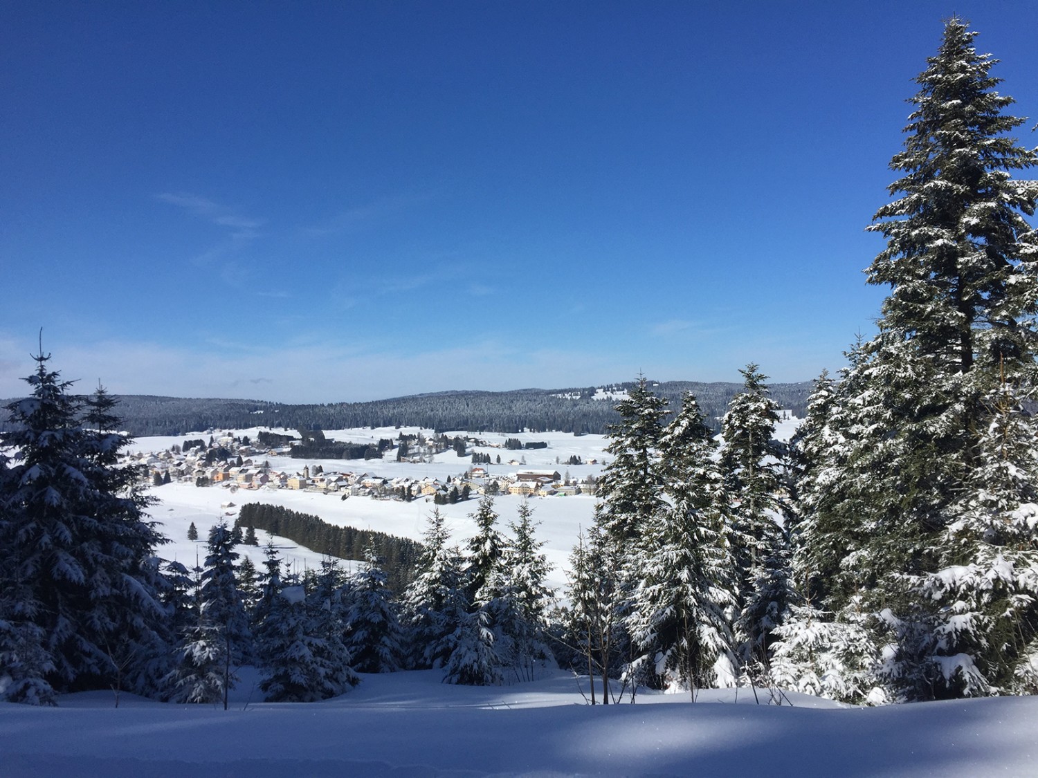 Vue sur L’Auberson et, au second plan, sur les vastes forêts du Jura français. Photos: Rémy Kappeler