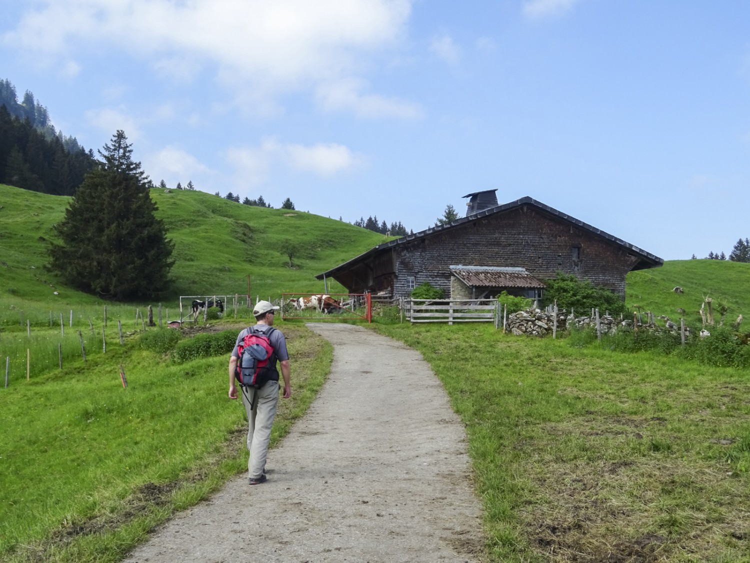 Jusqu’à Gross Schwand, le chemin passe souvent sur une petite route. Photo: Sabine Joss