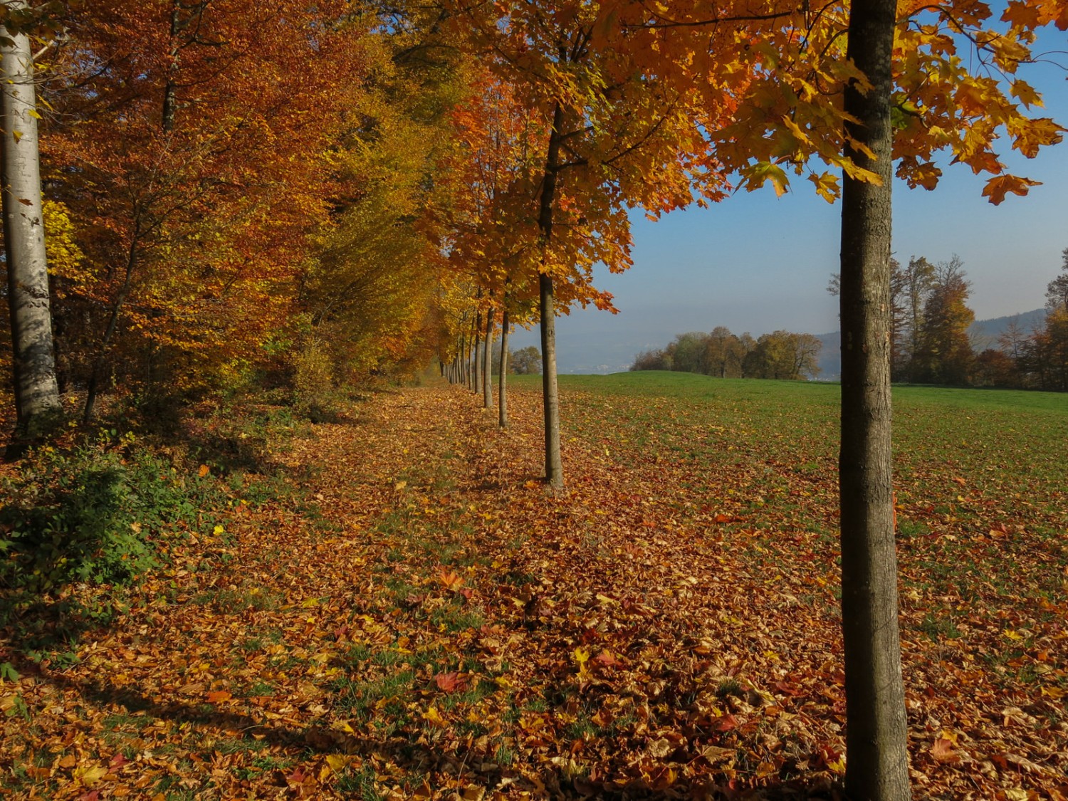 Le dernier tronçon avant qu'on arrive au château. Photo: Marina Bolzli