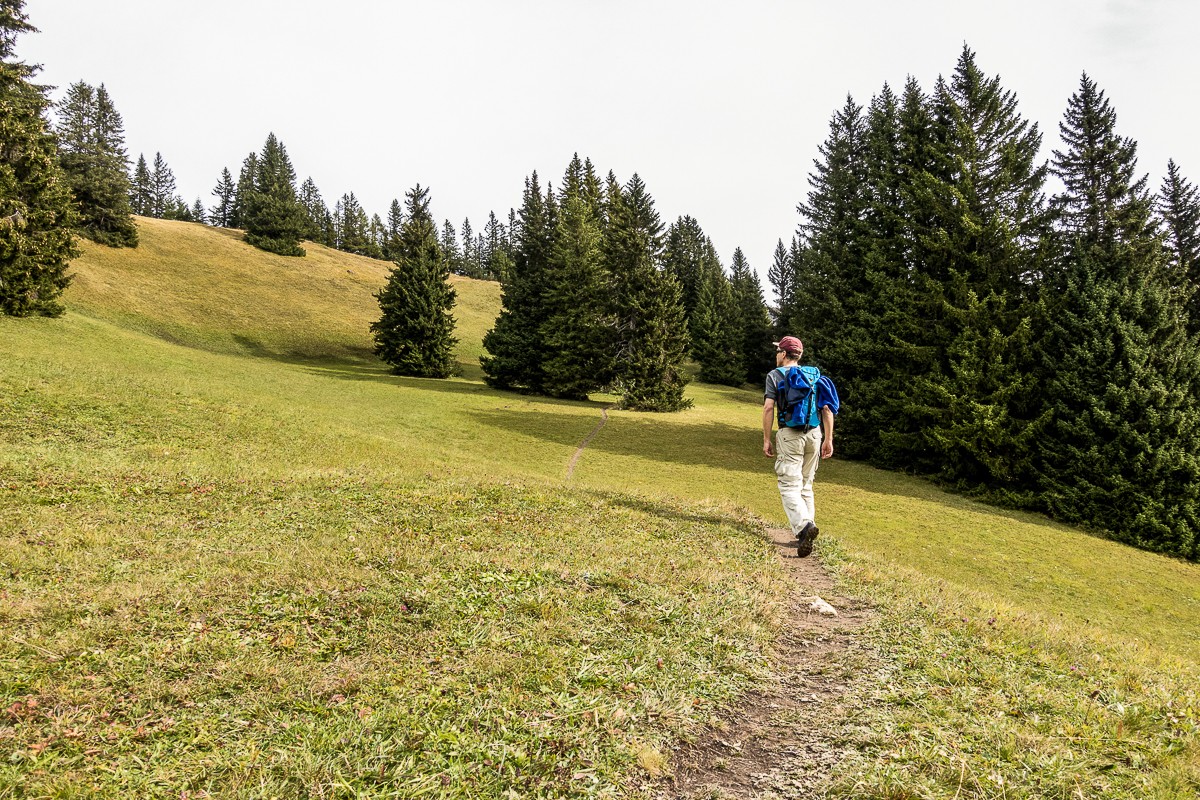 Im Aufstieg zum Fürhörnli erinnert die Landschaft ein wenig an den Jura. Bild: Fredy Joss