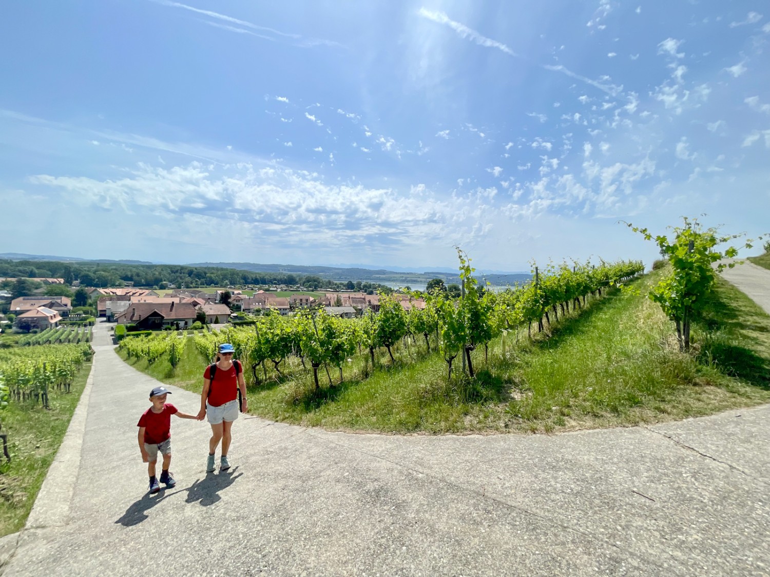 Montée par les vignes de Sugiez. La première partie est bétonnée. Photo: Michael Roschi