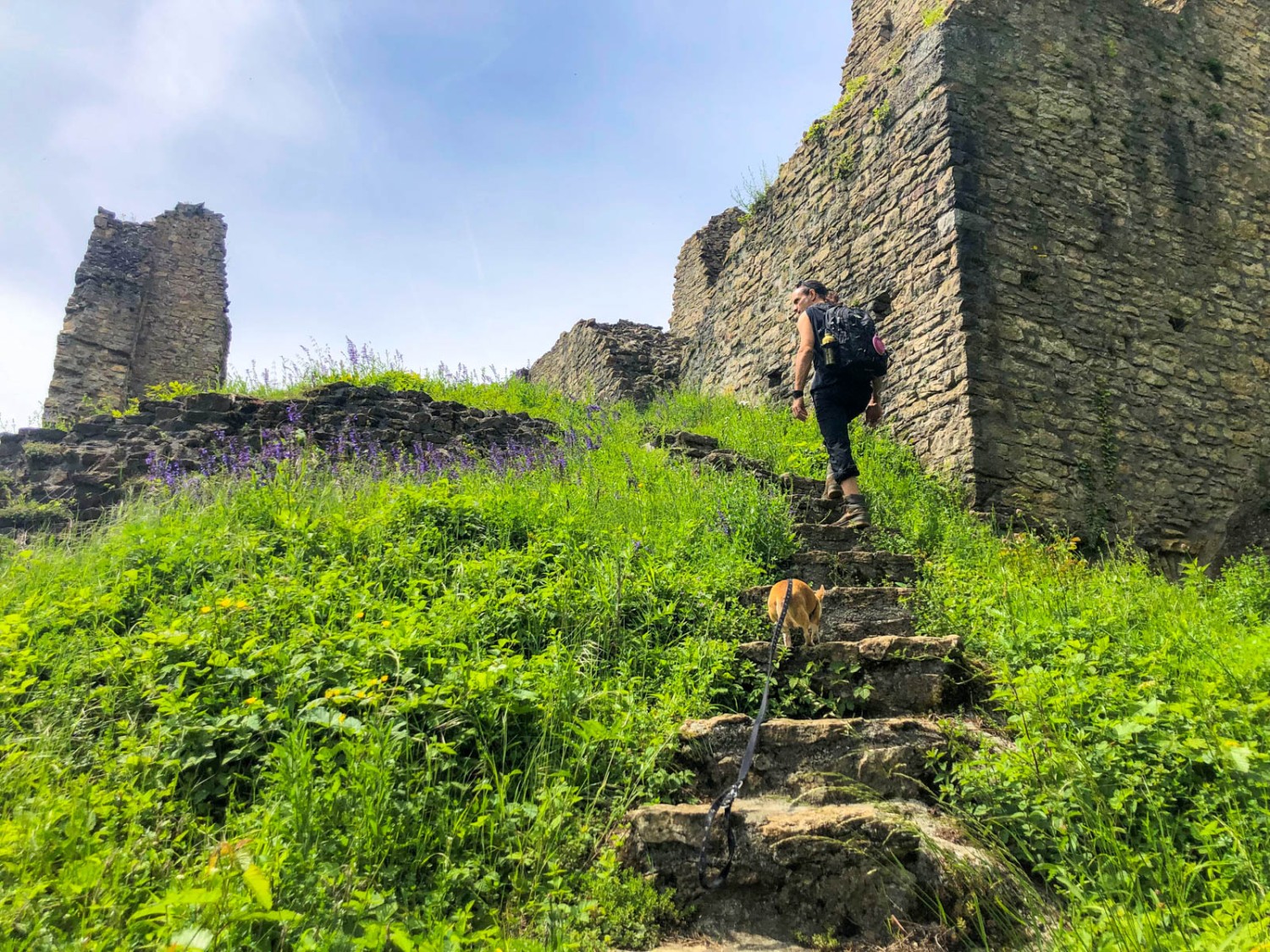 Les ruines de Schenkenberg sont facilement accessibles. Photo: Vera In-Albon