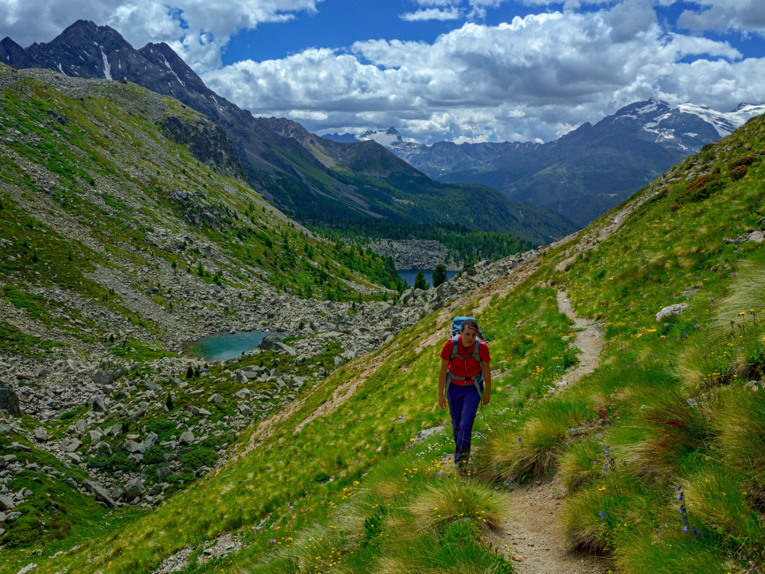 Der Aufstieg zum Pass ist nicht besonders steil. Bild: natur-welten.ch