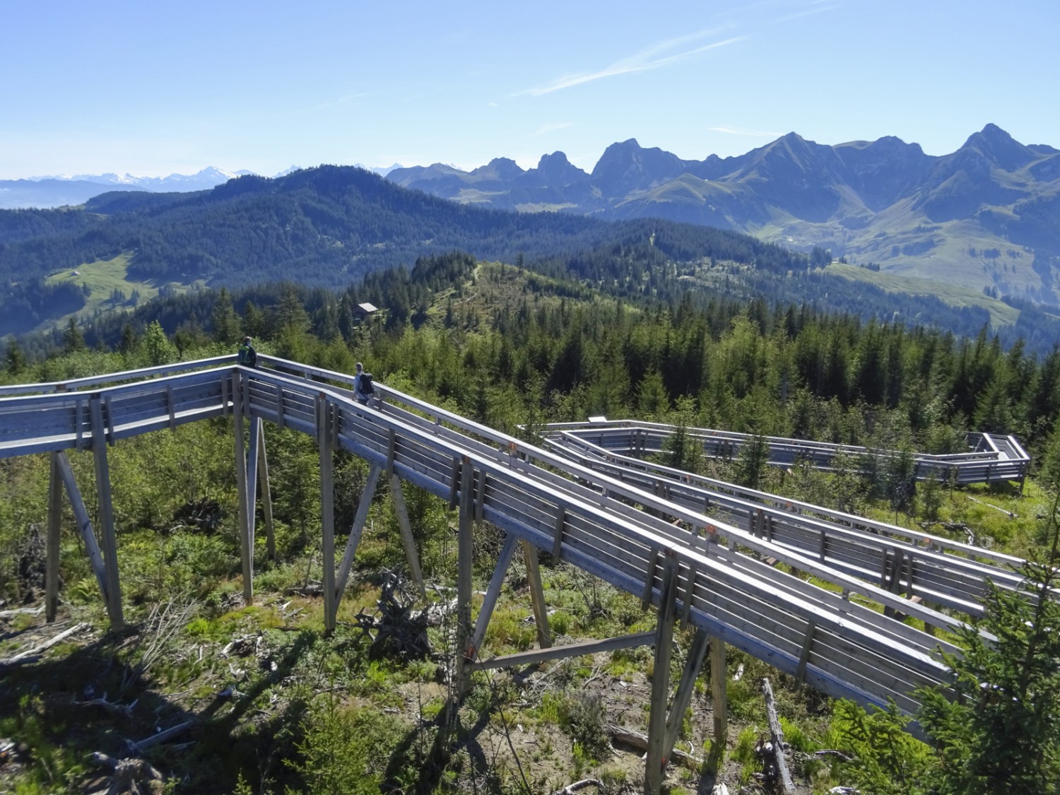 La passerelle Gäggersteg traverse la surface dite de chablis, que l’on doit à l’ouragan Lothar. Photo: Sabine Joss