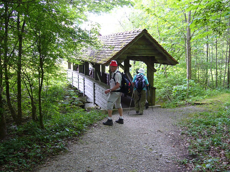 Letzte Momente im Wald, bevor die Wandernden Dussnang erreichen. Bild: Werner Nef
