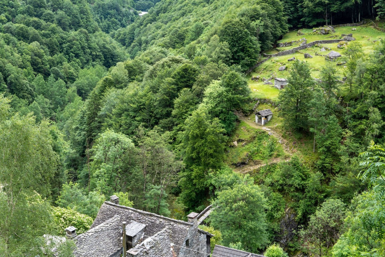 Tipico del Ticino: rustici e tanto bosco.