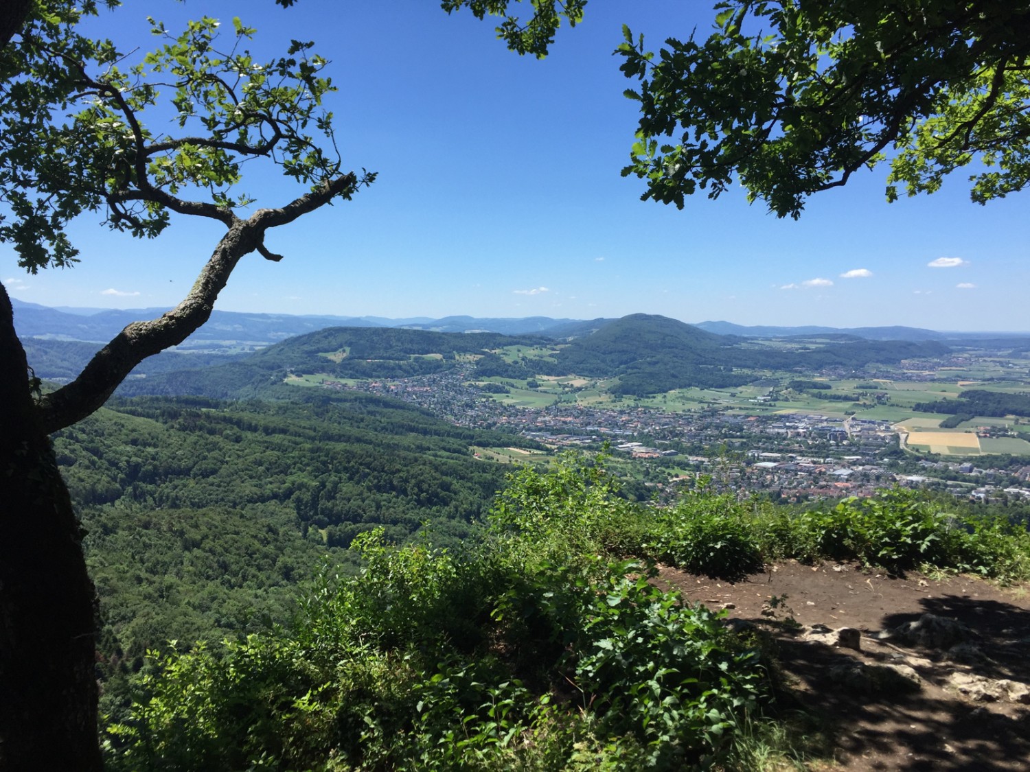 Blick von der Schartenflue auf den Blauen.