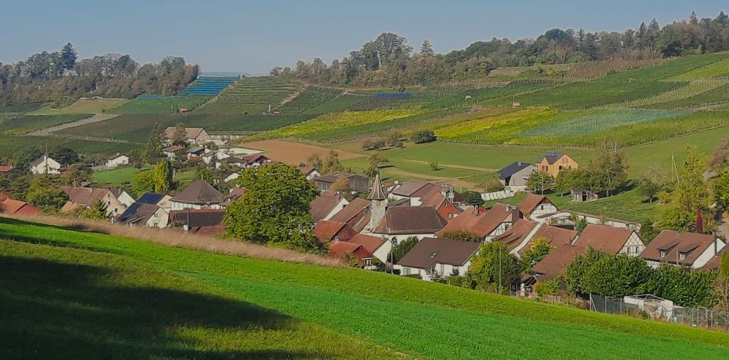 Blick auf Osterfingen