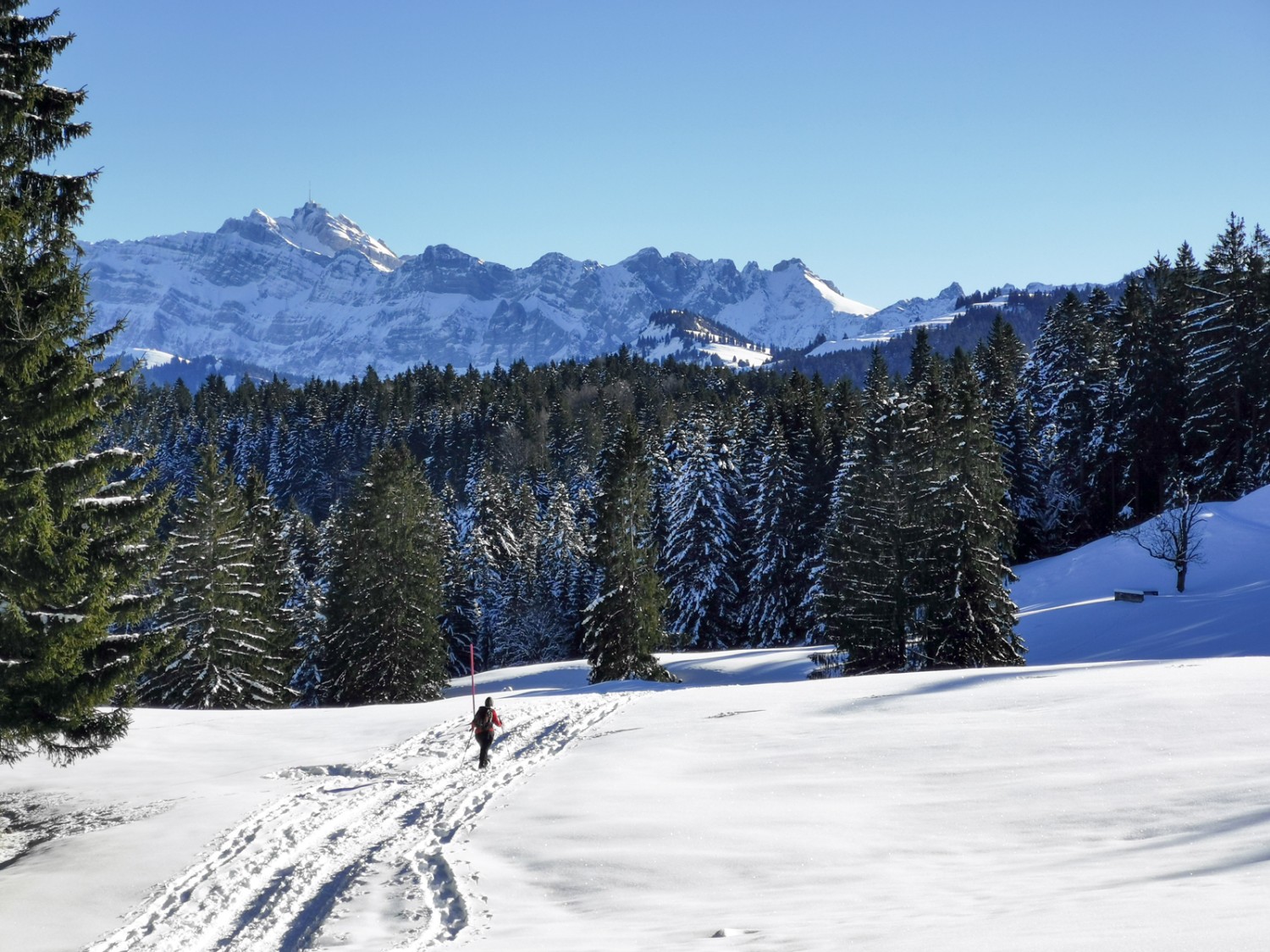 Vue sur l‘Alpstein. Photo: Andreas Staeger