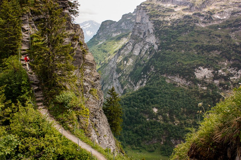 Vue sur l'alpage de Waldnacht.