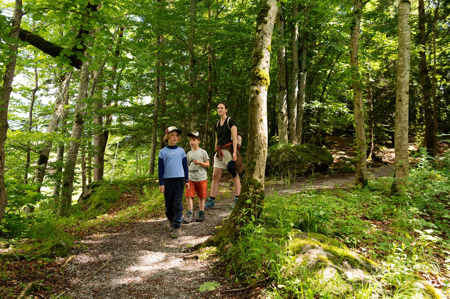 Zum Schluss gehts durch den schattigen Wald. Bild: Raja Läubli